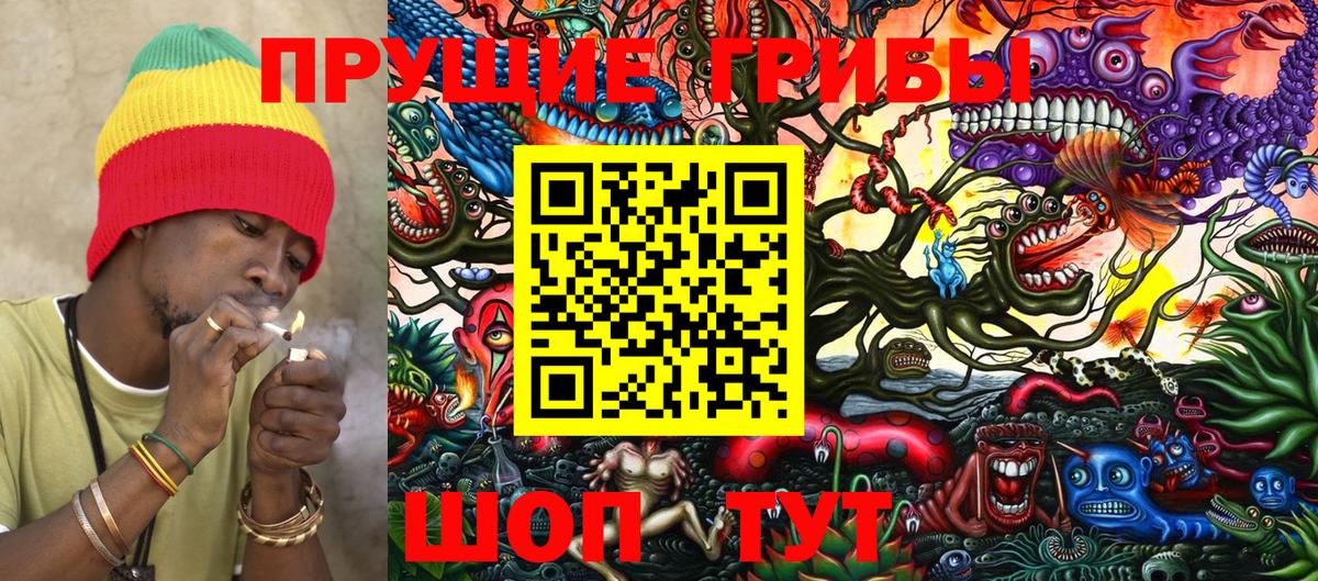 Павлово  магазин продажи   Вход с VPN  Галлюциногенные грибы мухоморы  Галлюциногенные грибы мицелий 